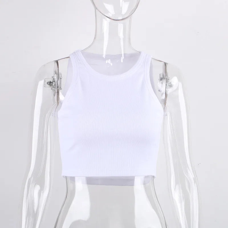 47988873232694|47988873265462|47988873298230