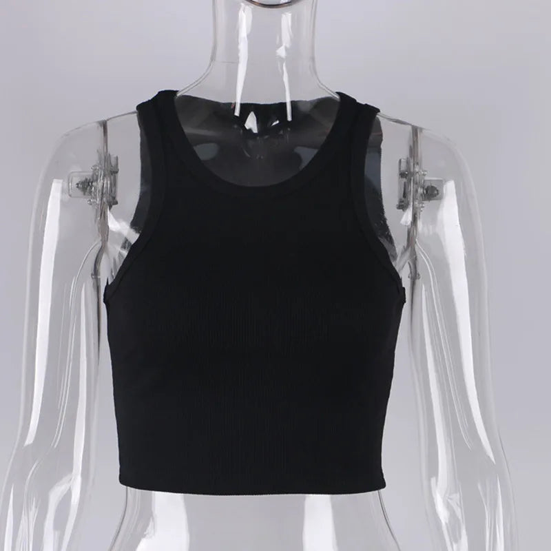 47988872937782|47988872970550|47988873003318