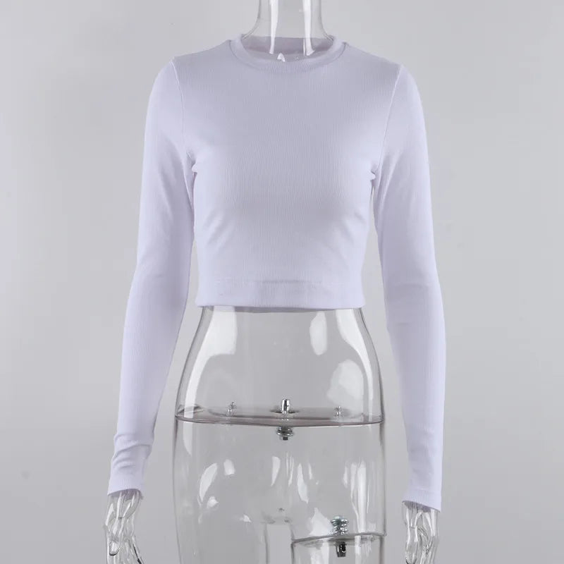 47988865237302|47988865270070|47988865335606