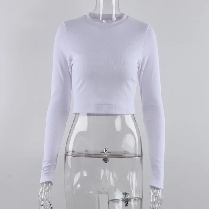 47988865237302|47988865270070|47988865335606